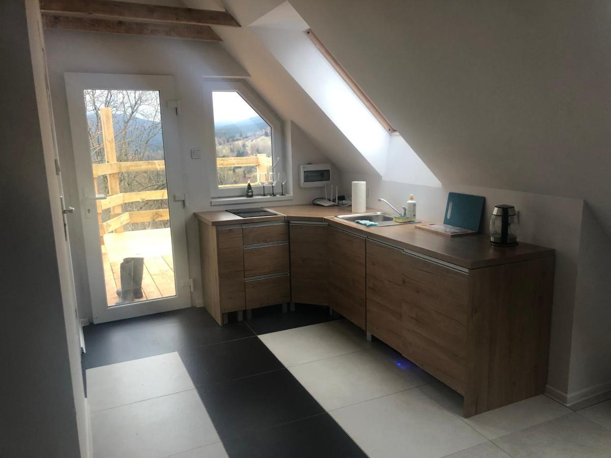 Apartment Welniana Przystan Swieradow-Zdroj