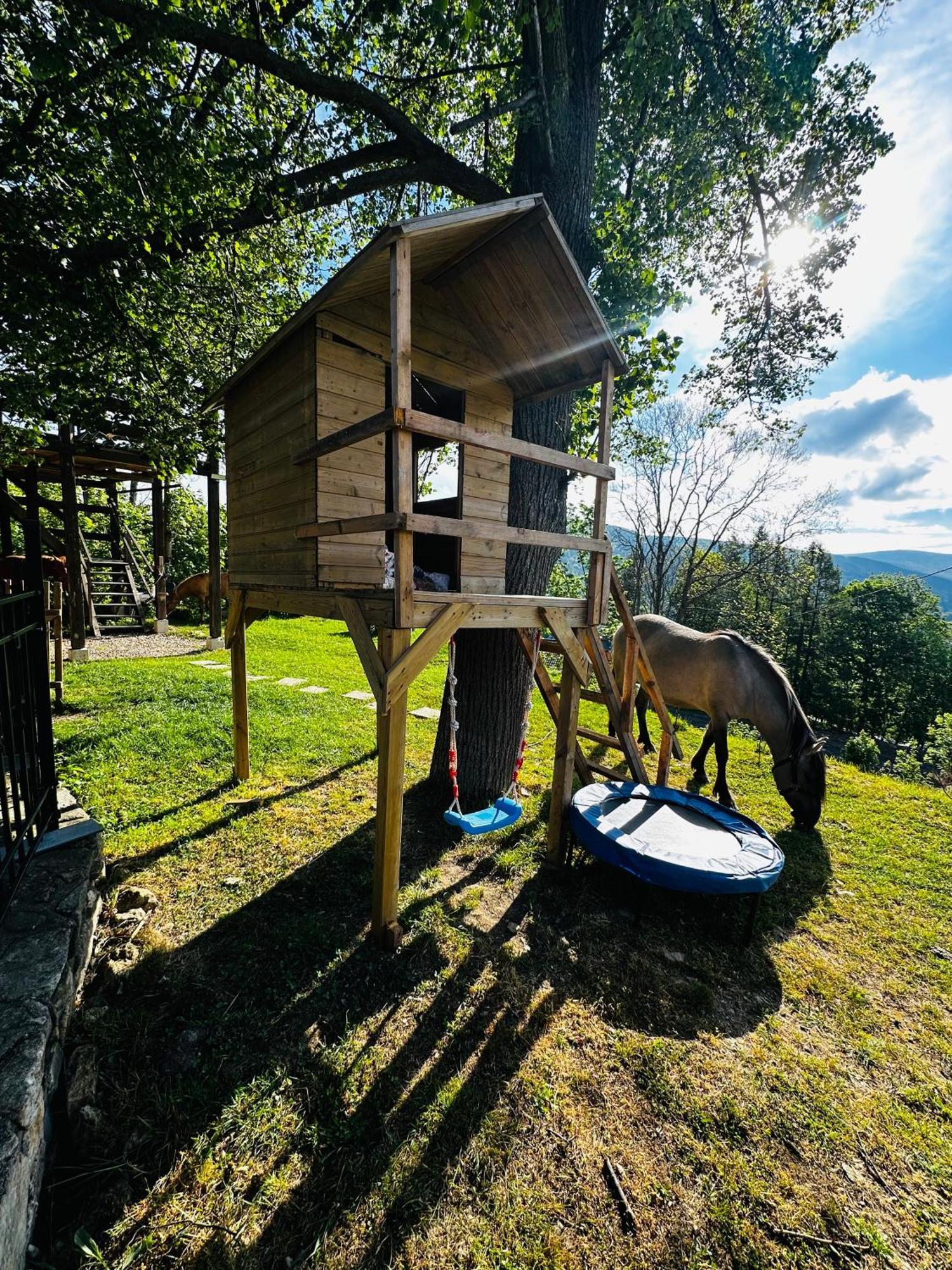 Apartment Welniana Przystan