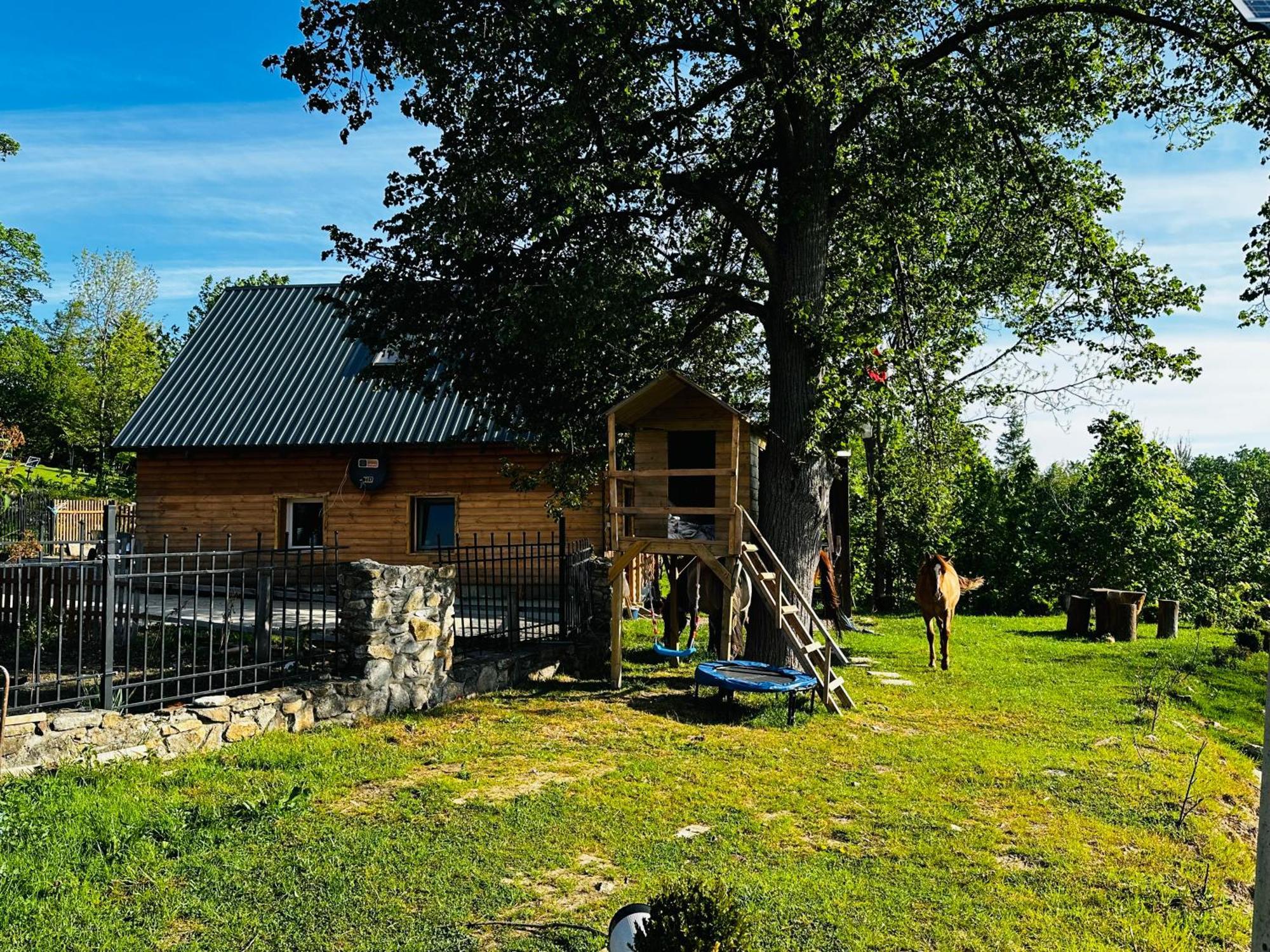 Welniana Przystan Apartment *