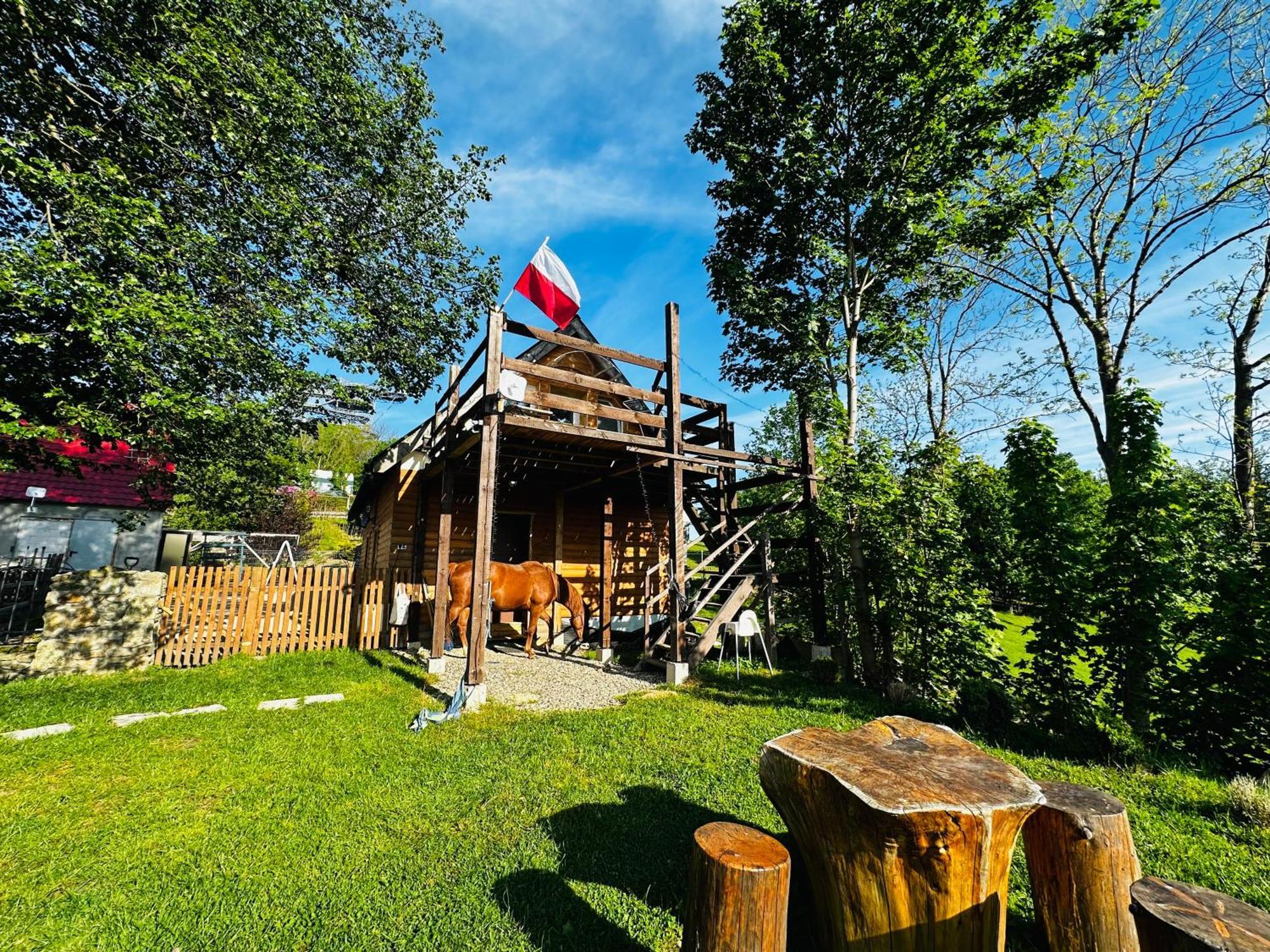 Welniana Przystan Apartment Swieradow-Zdroj